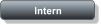 Intern