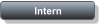 Intern