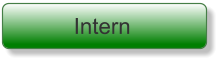 Intern