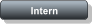 Intern