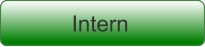 Intern
