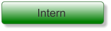 Intern