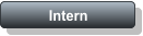 Intern