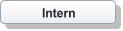 Intern