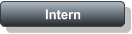 Intern